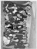 DO011628_12.jpg - הגדלת תמונה עם לייטבוקס