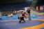 MAC20\09.07.2017\אור סמסון\Wrestling 9 July (Joya Or)\Folder 4\IMG_3972.JPG - הגדלת תמונה עם לייטבוקס