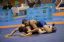 MAC20\09.07.2017\אור סמסון\Wrestling 9 July (Joya Or)\Folder 4\IMG_3978.JPG - הגדלת תמונה עם לייטבוקס