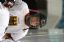MAC20\13.07.2017\Moshe Sanbak\Ice Hockey Jerusalem\IMG_3350.JPG - הגדלת תמונה עם לייטבוקס